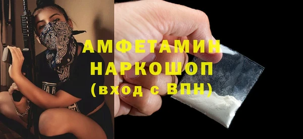 крисы Абаза