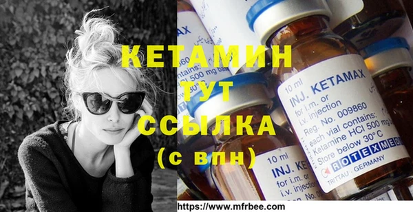 крисы Абаза