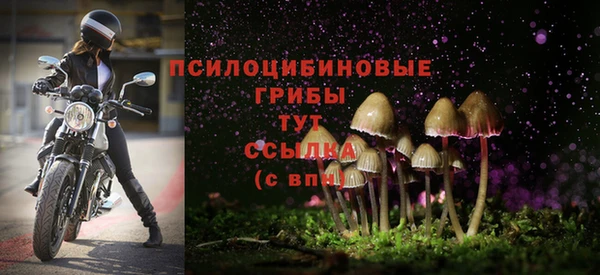 прущие грибы Алексин