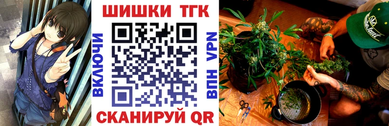Конопля гибрид  Дятьково 